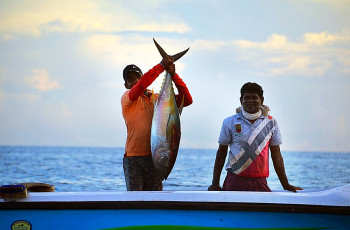 Negombo Fish Market