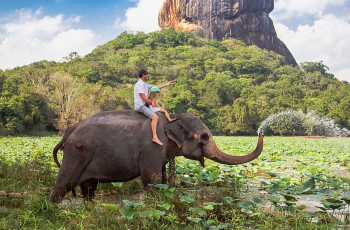 Sigiriya Lion Rock