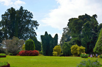 Royal Botanic Gardens