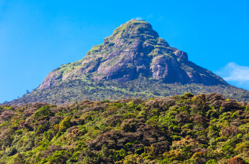 Adam's Peak