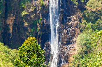 Devon Water Fall View Point